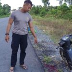 Kabid Humas Benarkan Penembakan di Mansel, Polisi Siaga dan Warga Diminta Tak Terprovokasi